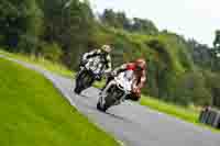 Advanced Group White Bikes